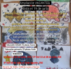 Escuela de verano 2026